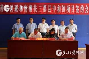 三都县中和镇项目招标，官方网站是哪个？