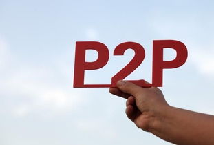 如何选择P2P网贷平台的个人投资项目？