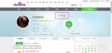 哪些网站靠谱赚钱？上网挣钱的途径盘点