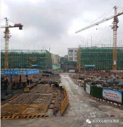 什么是三远一网建设项目中的‘三远’？