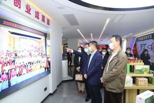兴农电商项目，e网如何助农？