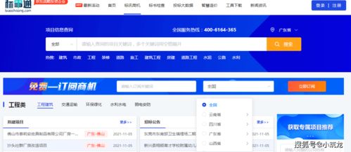三亚船队轮船项目，招标信息如何查询？