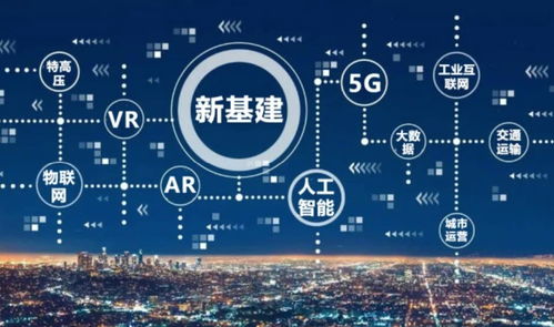 2020年网络就业领域涌现了哪些新项目？