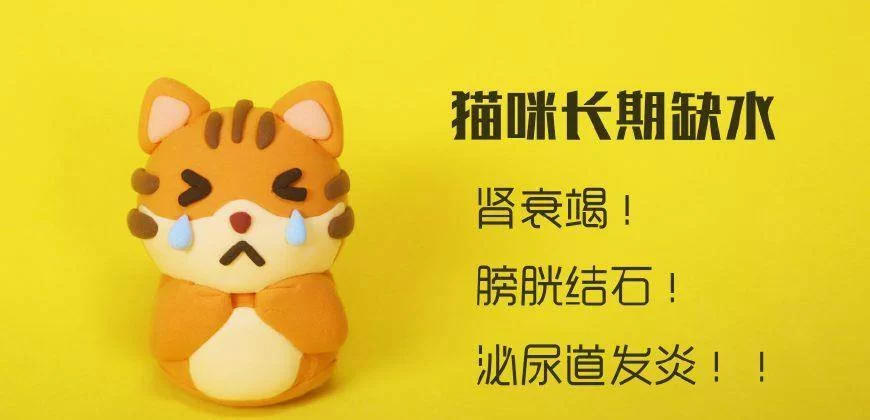 兼职养猫真的好吗？好处坏处别忽略，亏不亏得知道？