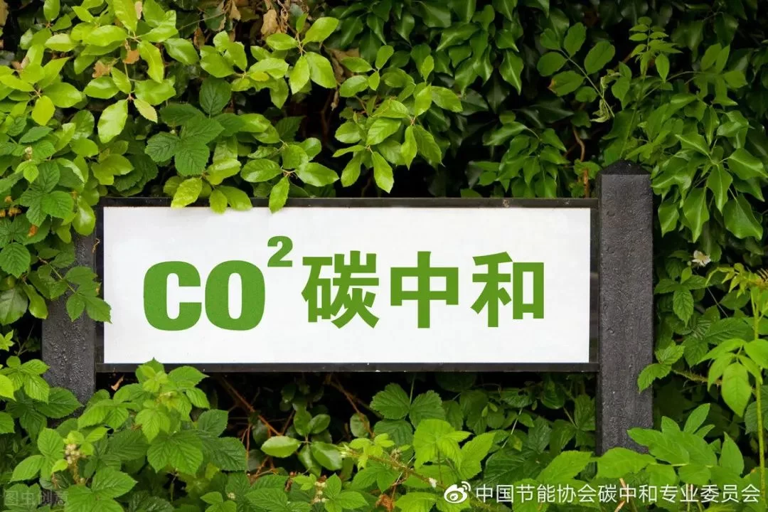兼职卖盆景靠谱吗？晚上摆摊利润高成本低好卖不？
