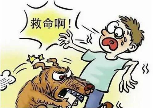 兼职代遛狗靠谱吗，去哪找一小时多少钱怎么发信息？