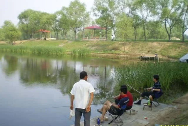 养鱼塘副业能赚钱吗？家庭养殖鱼副业怎么做更赚钱？