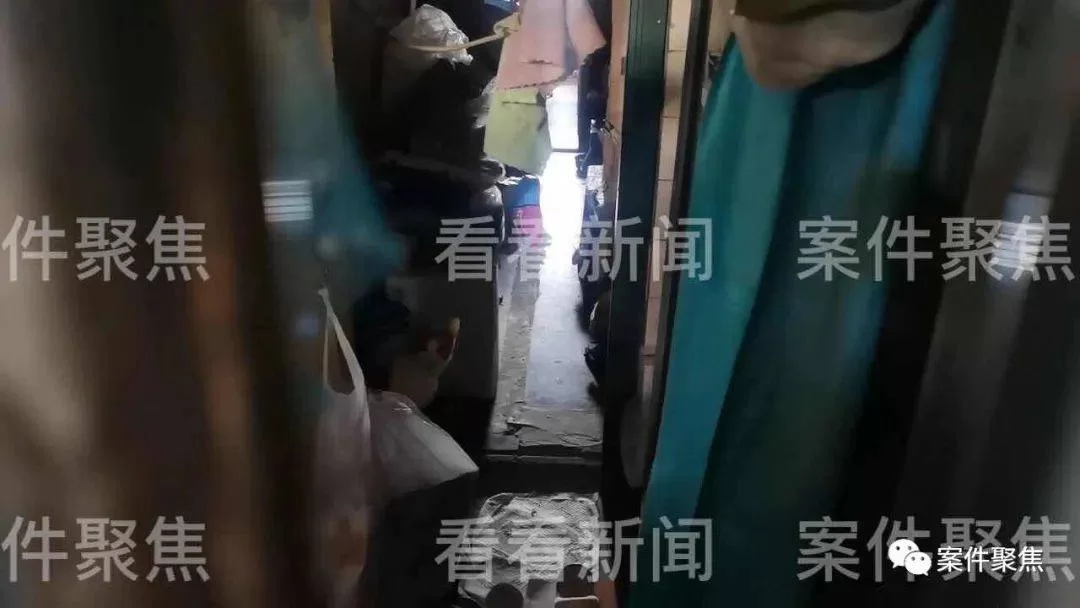 养猫适合做什么兼职赚钱，每天有收入的方法靠谱吗？