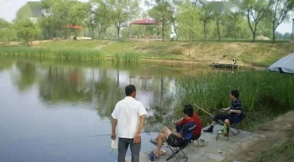 养鱼塘现在搞副业做啥好，家庭养殖鱼副业能赚钱吗？