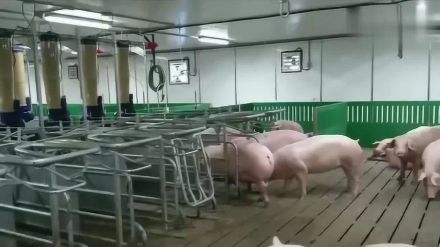 养殖场兼职怎么接？靠谱的养殖场兼职工作好找吗？