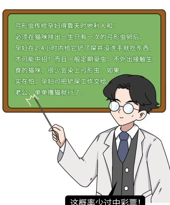 养猫人为何普遍长寿？性格好的人养猫真的不后悔吗？
