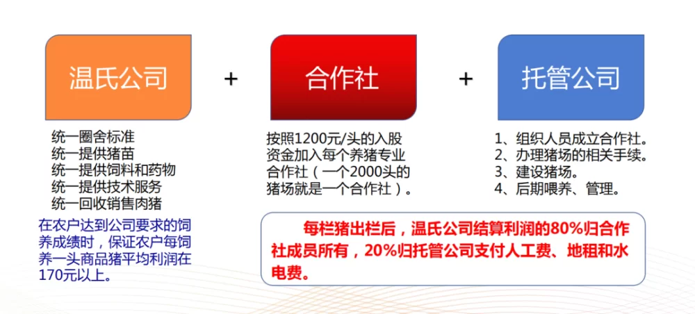 养猪能同时做什么副业？上班族适合哪些在家靠谱的？