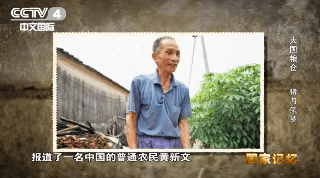 养猪副业怎么赚钱？分享实用小妙招，轻松赚副业钱。