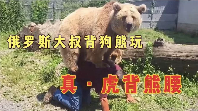 养熊当副业靠谱吗？会不会因此触犯法律惹麻烦啊？