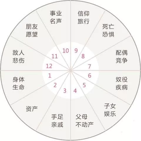 星盘怎么看擅长副业，创业能成吗，十二宫位咋解读？