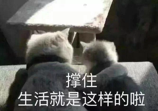 想搞副业赚钱，朋友圈发搞笑简单文案能吸引人吗？