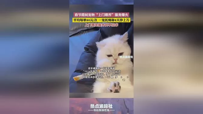 宠物上门喂养兼职去哪接？在家靠谱兼职平台怎么找？