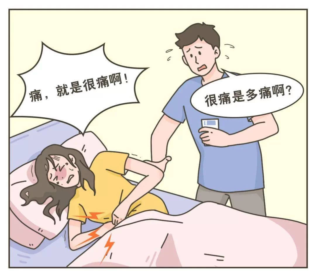 女生养鹦鹉当副业靠谱吗?会说话品种适合上班族不?