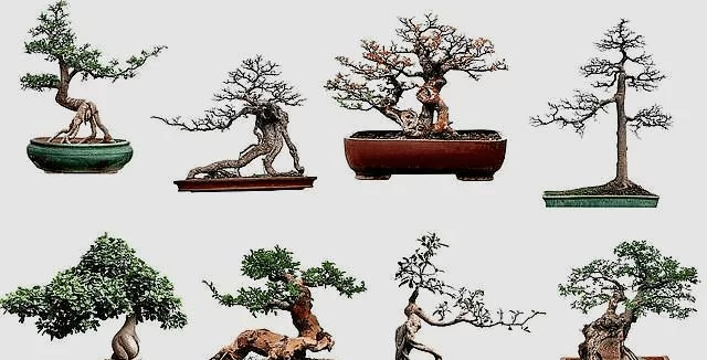 国庆在家做兼职，做盆景靠谱吗？哪里找靠谱平台？