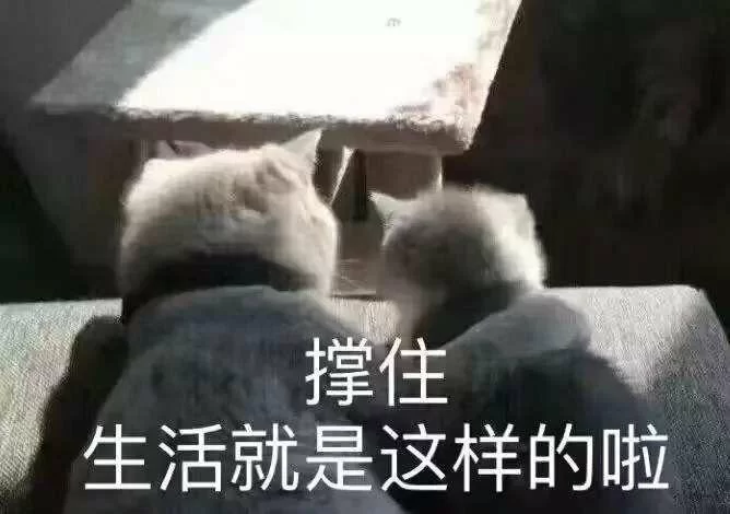 副业赚钱搞笑文案咋写，咸鱼卖货朋友圈才吸引人？