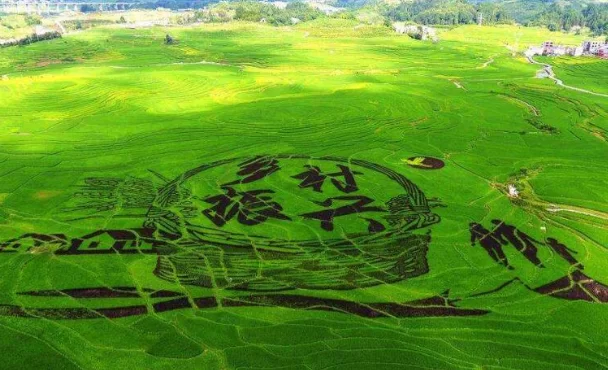 副业增收机制怎么助农增收，联农带农有啥好办法？