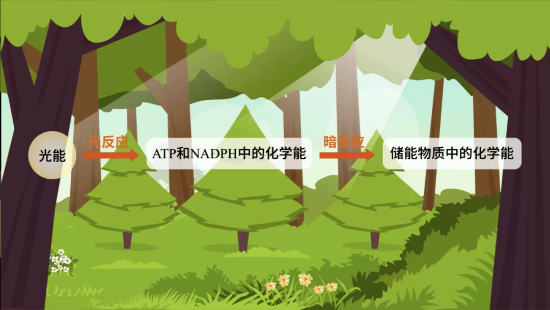 副业想知道怎么搞？农谚里藏着哪些靠谱赚钱的门路？