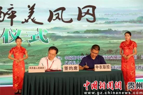 凤冈上班族晚上在家做什么副业好，兼职副业推荐？