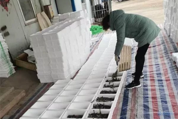 兼职红砖销售去哪找？附近电话和平台怎么联系呀？