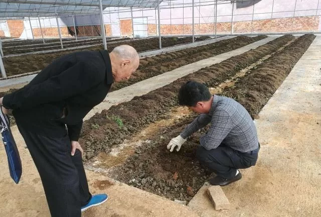 农村养殖副业搞什么最赚钱？致富好项目推荐有哪些？