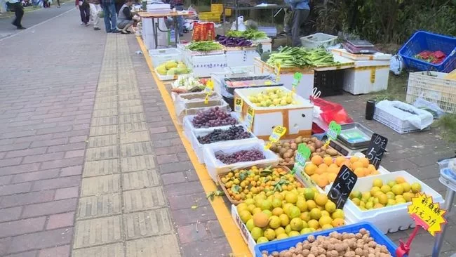 兼职卖点农产品呢？桑葚干能泡水喝，还有啥能做？