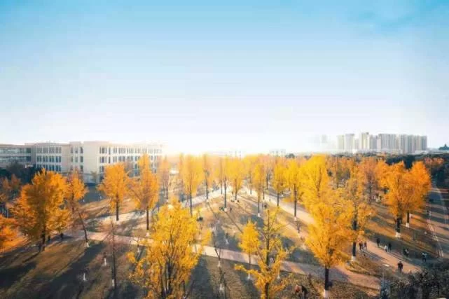 共青科技职业学院学生兼职哪里找？人才网靠谱吗？