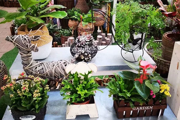 保定兼职花店怎么找?花店兼职一般都做些啥工作?