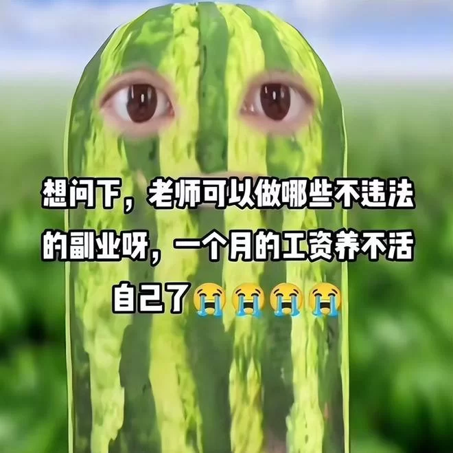 体育教师适合的副业有哪些,闷声赚钱的路子有哪些?