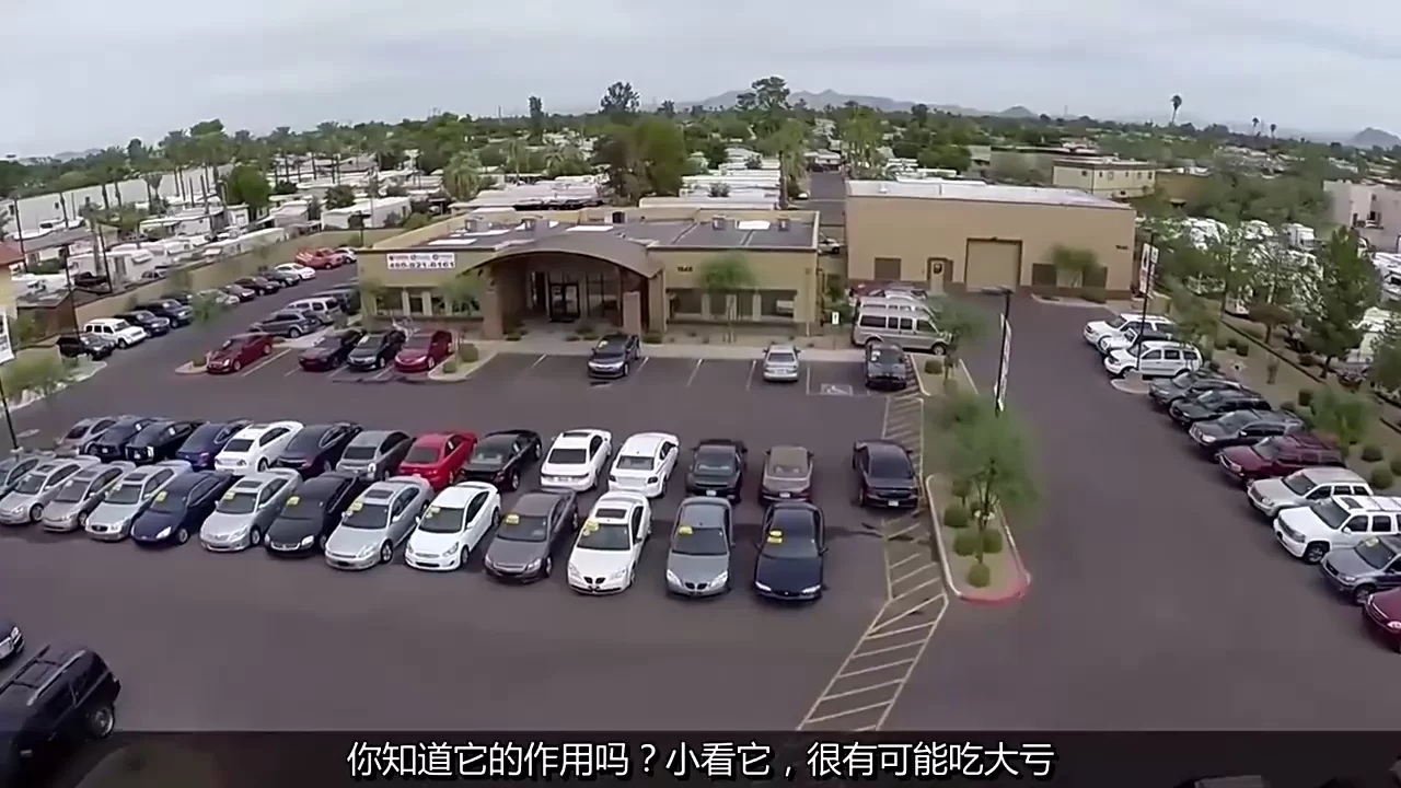 会开车能做哪些副业,唱歌画画等技能也能搞副业吗?