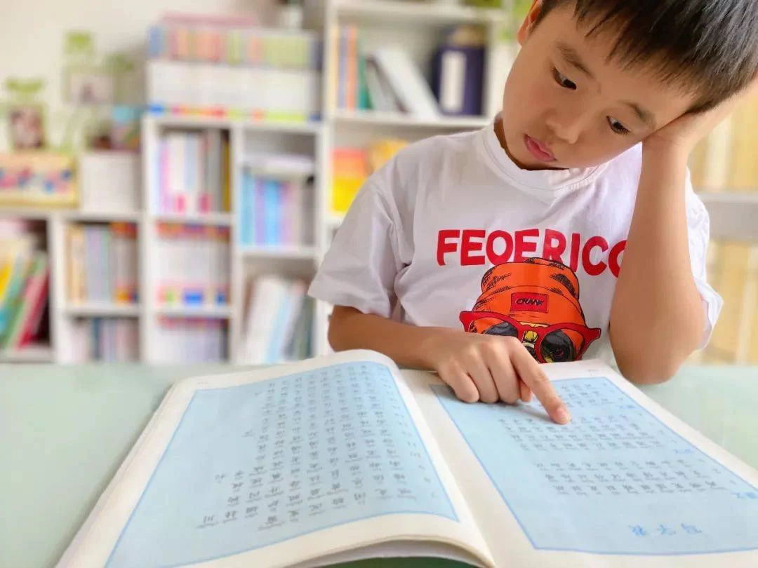 五岁孩子能力培养该抓哪些关键点?报班选这些不踩坑?