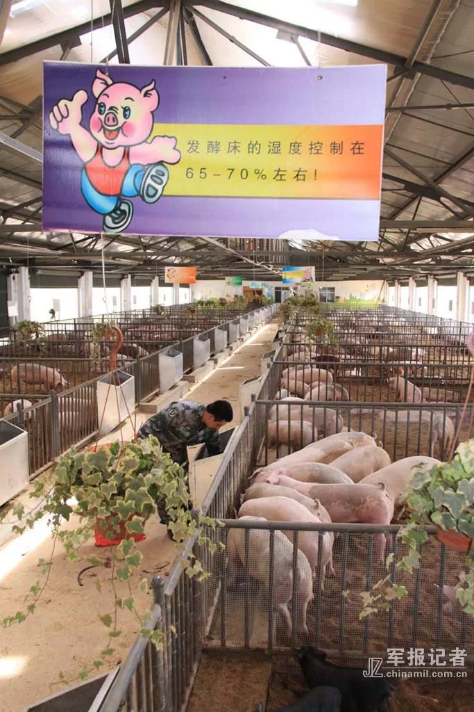 云南省军区生产副业基地主要搞哪些农业生产和副业呢?