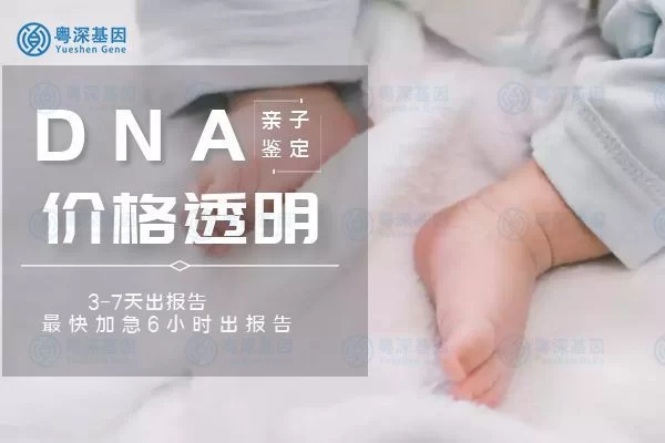 亲子鉴定要多少钱?靠谱机构怎么选才正规不踩坑?