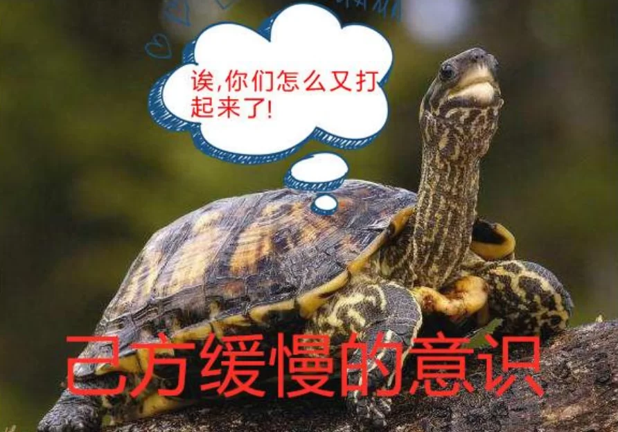 乌龟服新手搞什么副业靠谱,上班族职业推荐有哪些?