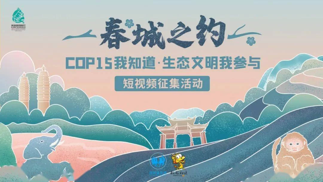 云南视频看啥?老孟副业、打歌、阿朱山歌全都有!
