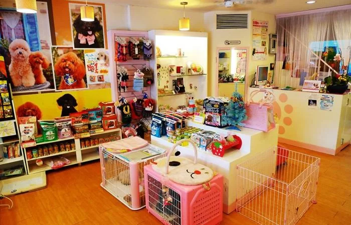 丽江宠物店兼职靠谱吗?经营宠物店需要哪些条件?