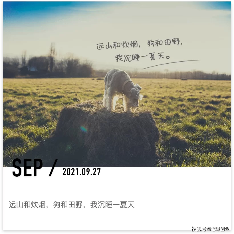 主业副业哪个更赚钱?关系和区别搞清楚,发展才不慌!