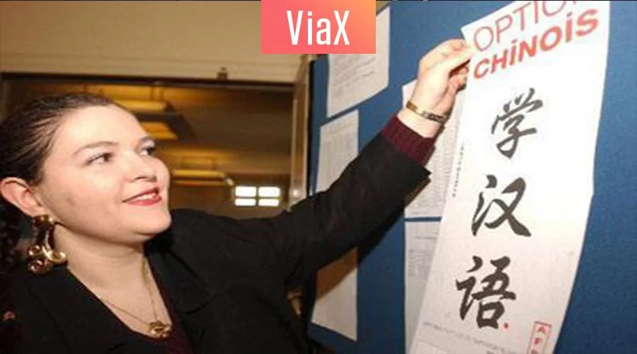 中文外教副业,教国外小朋友中文晚上适合上班族做吗?