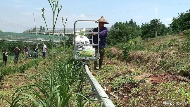 主业种地副业打工,生存发展两不误,这样现实吗?