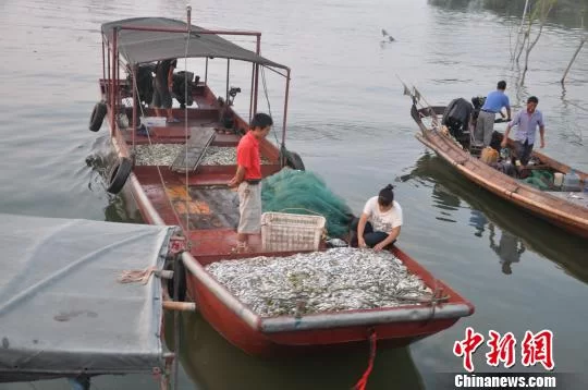 中国渔民副业前景如何,靠谱副业女生做哪些有前景?
