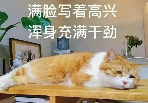 为啥兼职加班腰疼视频图片全,明星按摩真这么管用?