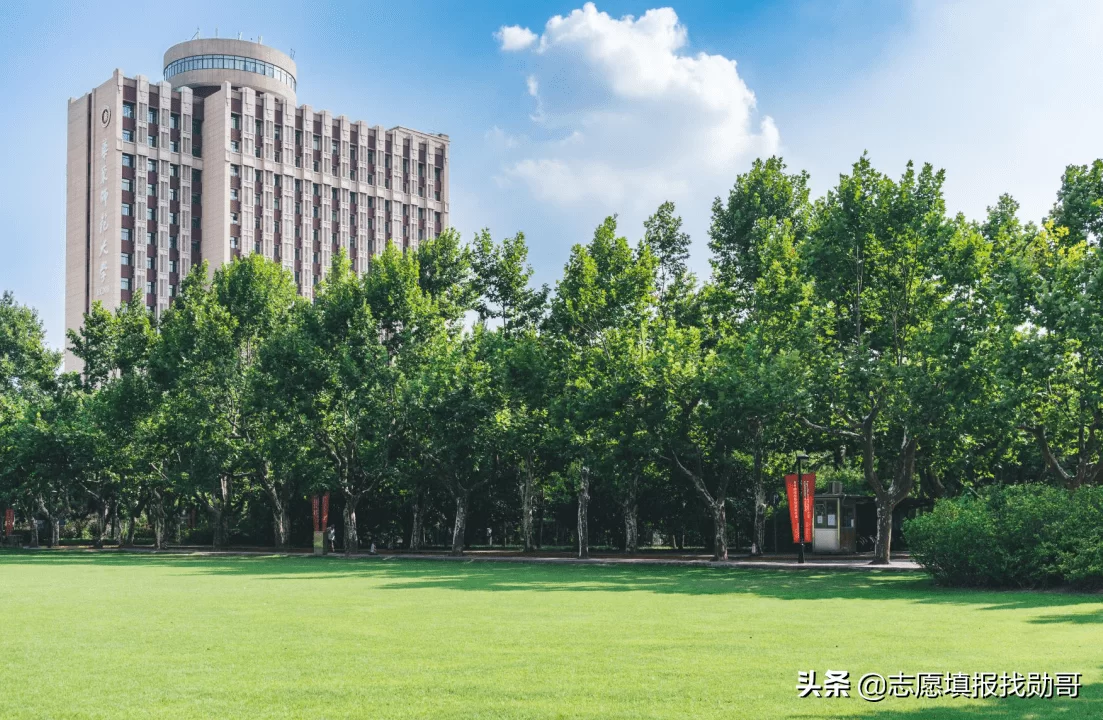 中医药大学副业有哪些靠谱赚钱的副业项目可以做?