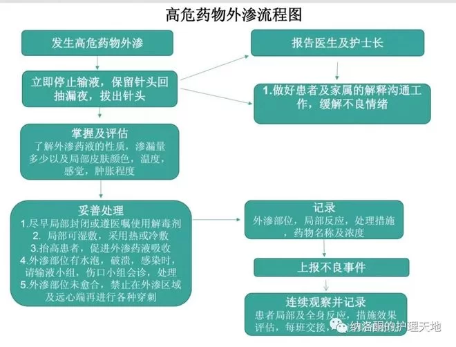 东莞学校兼职保健老师如何应对突发公共卫生事件?