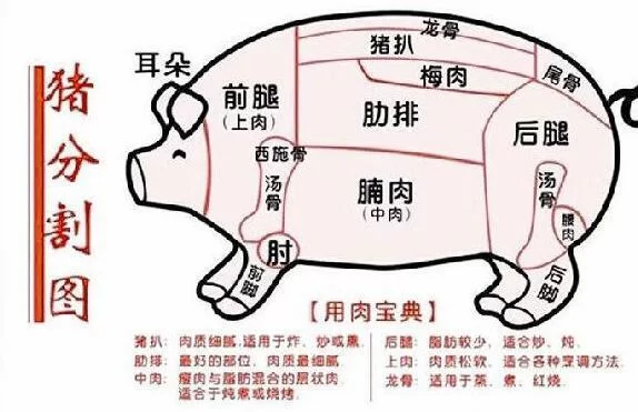 东北林区主要分布在哪?副业和农村生活有啥新鲜事?