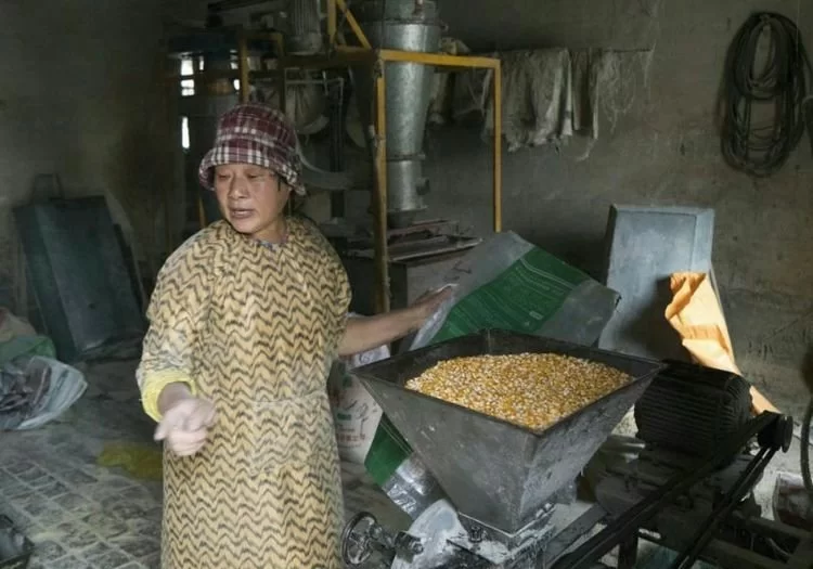 东北养殖副业有哪些?上班族下班也能做的有哪些?
