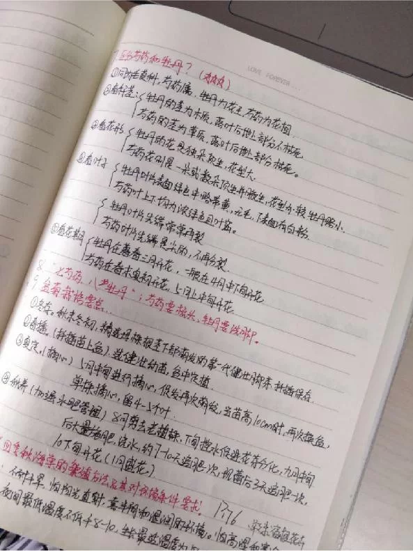 专升本兼职感想作文怎么写?万能模板+优秀范文参考!